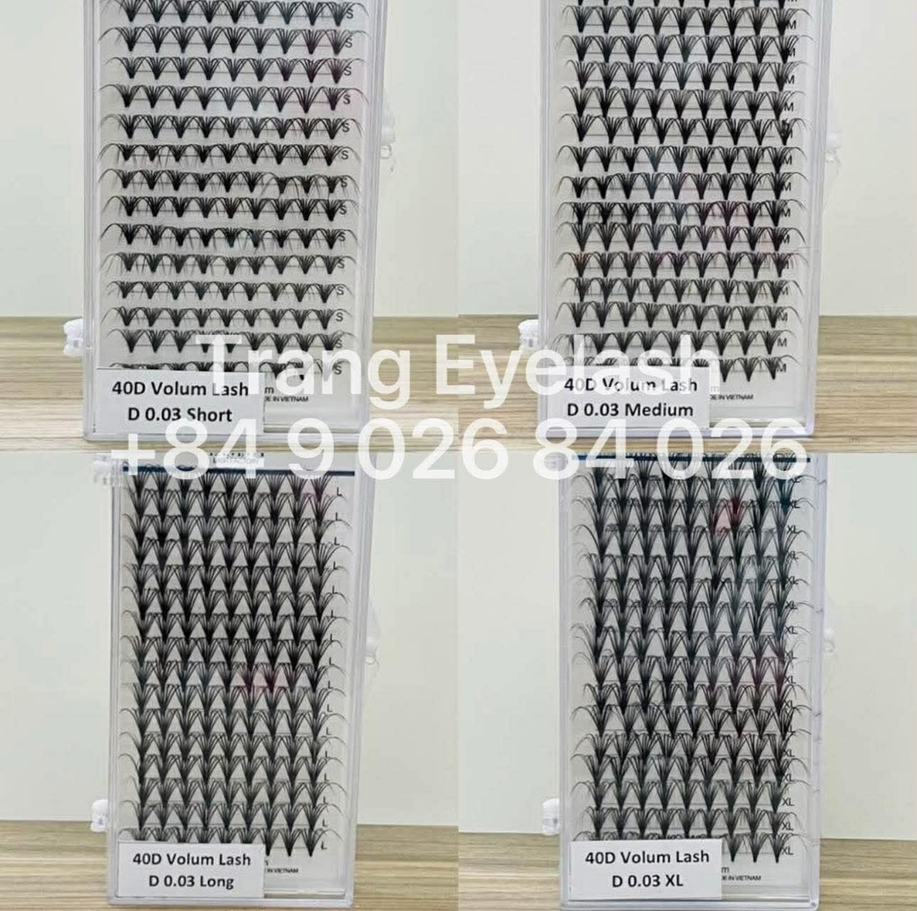 Mi Chùm Cluster Vlash, Wispy, Volume 24D 30D 40D - Hot Trend 2026