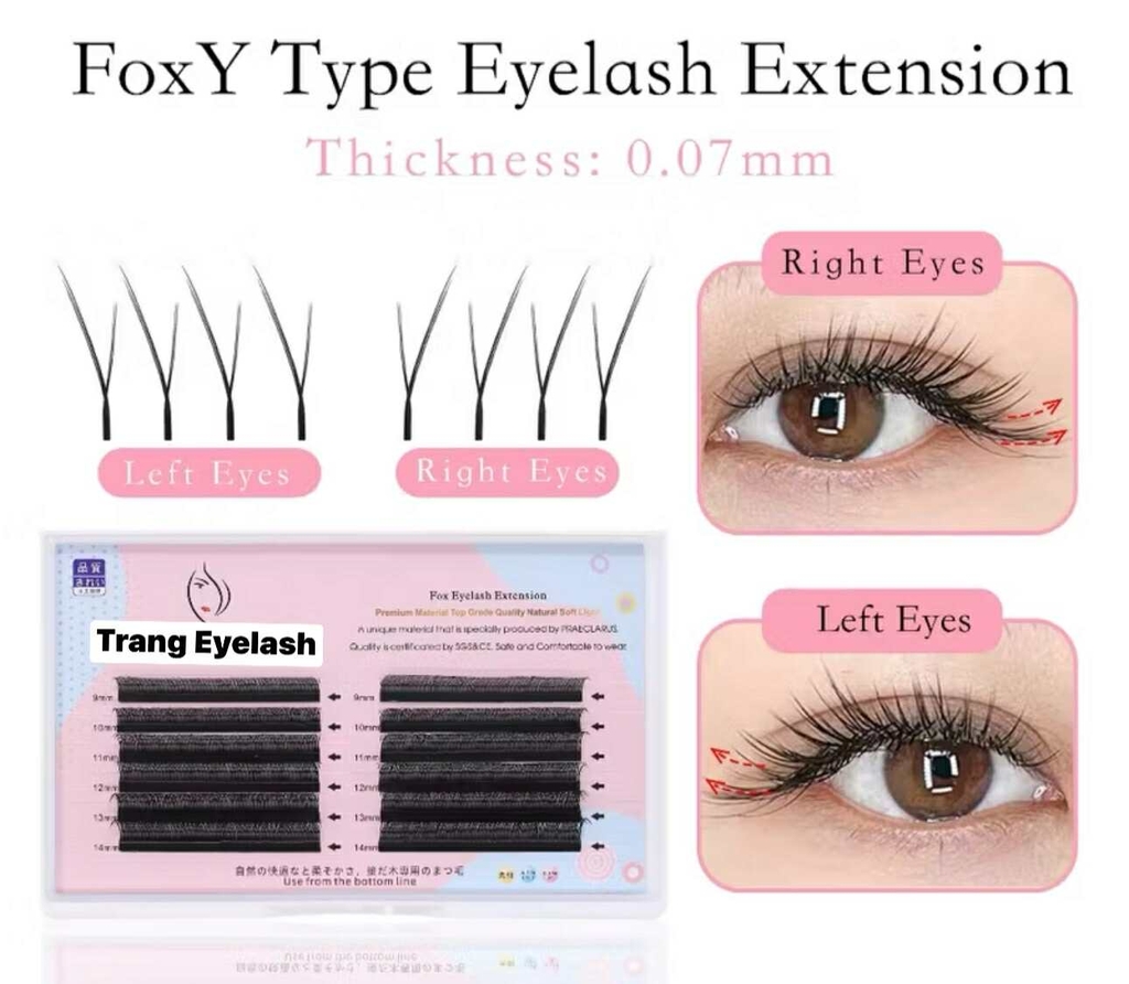 Mi Hoa Nhỏ - Fox Y type eyelash - Mi fisheyes