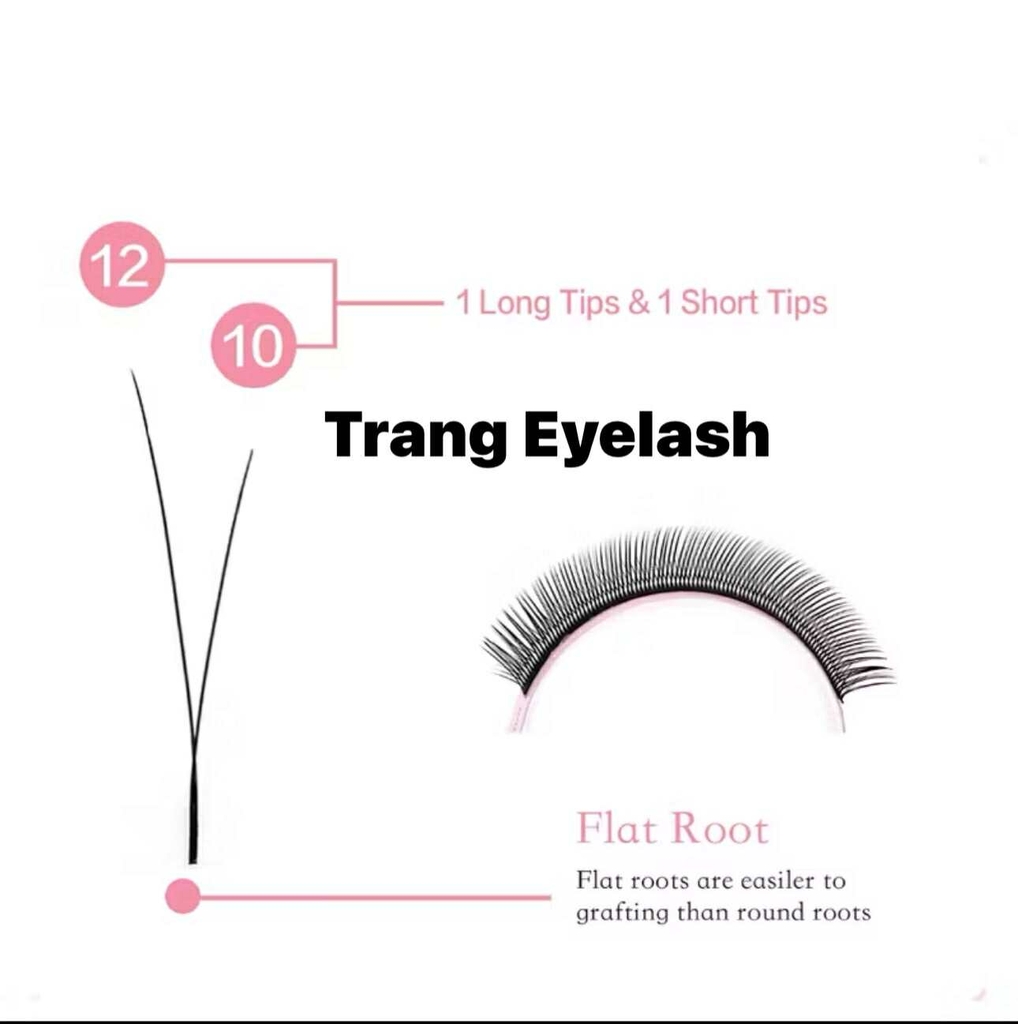 Mi Hoa Nhỏ - Fox Y type eyelash - Mi fisheyes