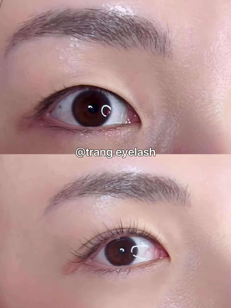 Trục cá heo, nâng mi siêu mềm, dính hình cá heo Dolphin Lash Lift Pads