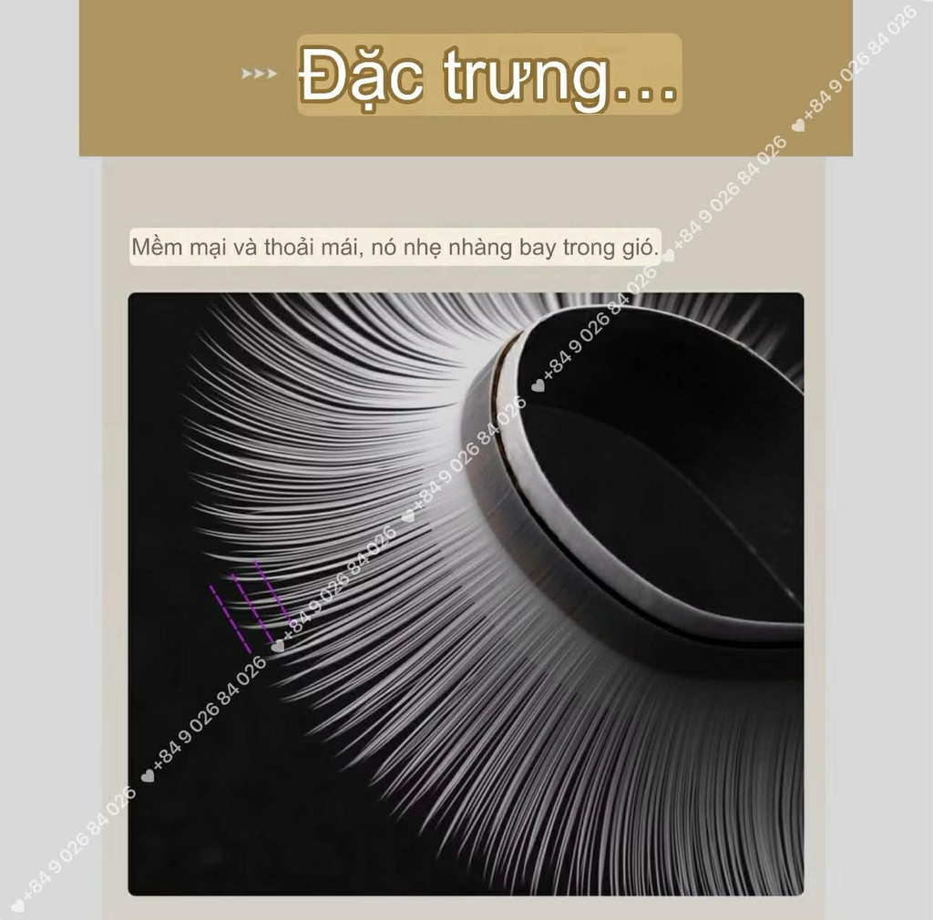 Màu Trắng Lông Mi Camellia Douyin Trung Hoa, mi Manhua, Balayage,Mi Trung Hoa Bạch Tuyết (màu trắng)