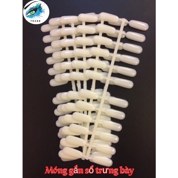 Sổ trưng bày bảng màu móng Nail 216 móng và 308 móng ( hàng mới về sẵn )