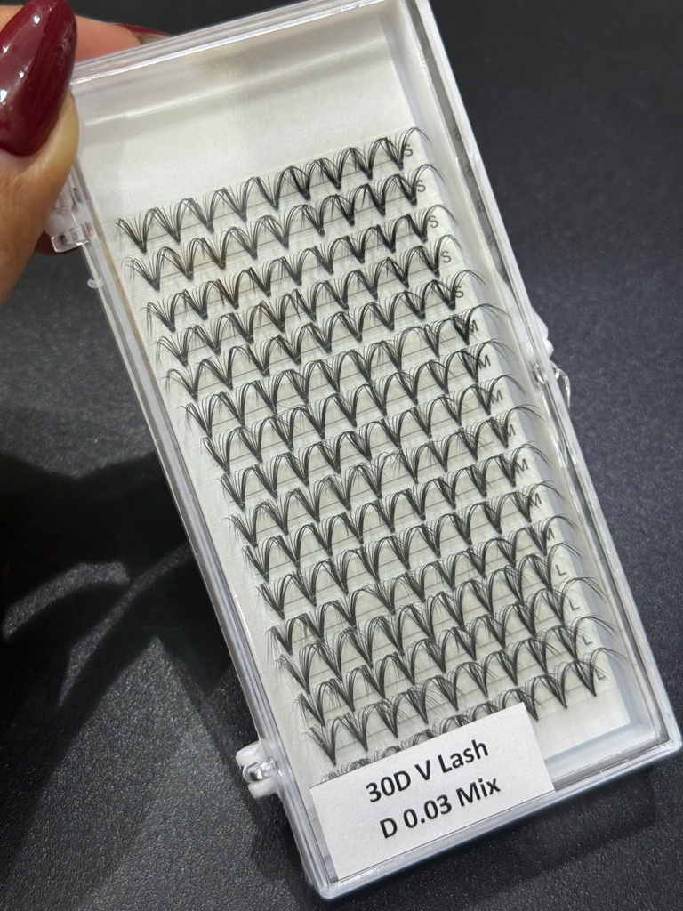 Lông mi chùm sole V Lash 24D,30D,40D
