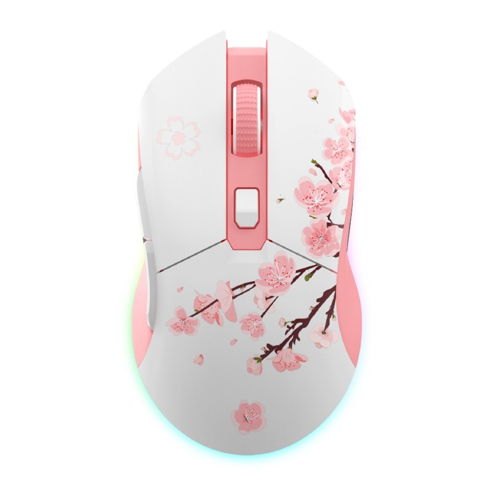 Chuột không dây Dareu EM901X RGB | BLACK/BLUE/PINK