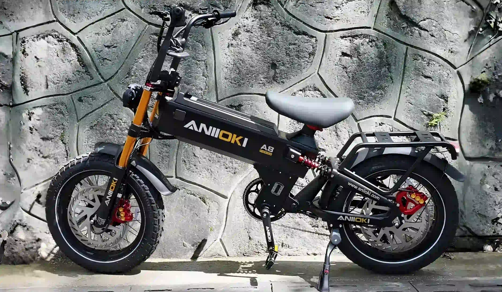 Xe Đạp Trợ Lực Điện Đường Dài