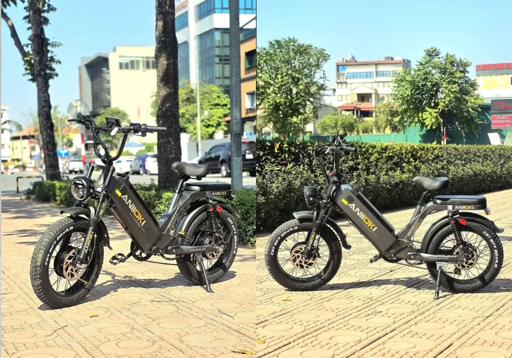 Chọn xe đạp trợ lực điện hai động cơ tại AIMOS