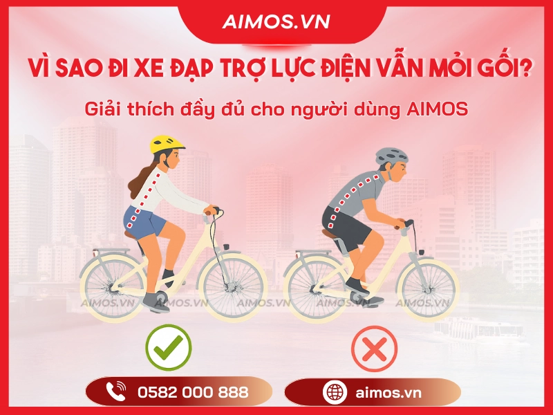 Đi xe đạp trợ lực điện vẫn mỏi gối?