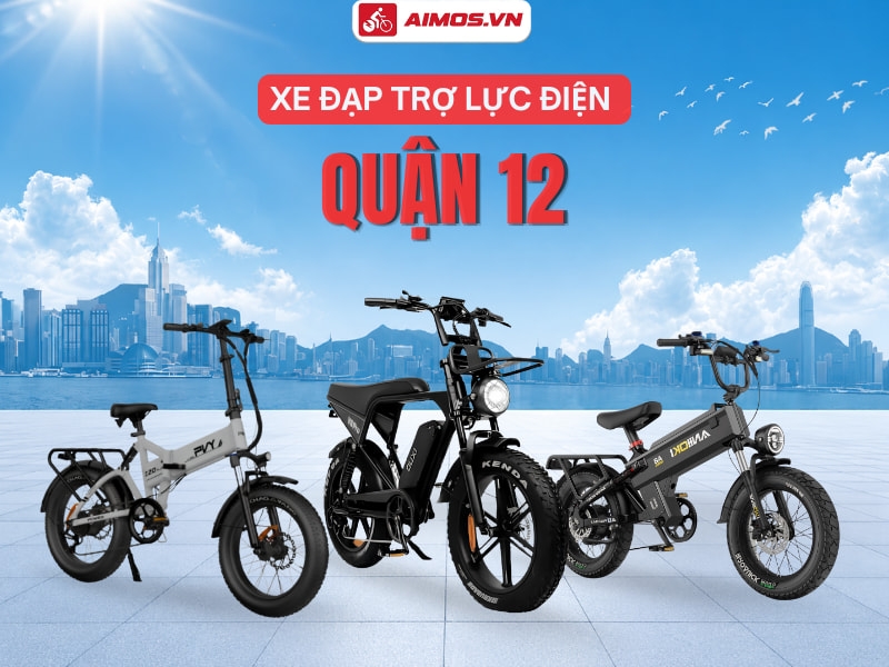 Địa Chỉ Cung Cấp Xe Đạp Trợ Lực Điện Quận 12 Uy Tín, Chính Hãng