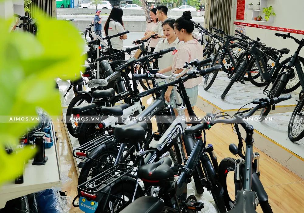 Dịch Vụ Cho Thuê Xe Đạp Trợ Lực Tại AIMOS Đà Nẵng