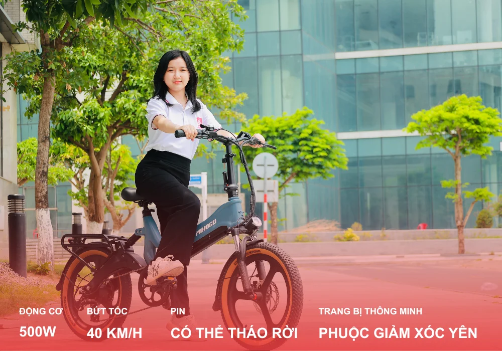 Điểm nổi bật trên xe đạp trợ lực điện Mihogo RX 2.4