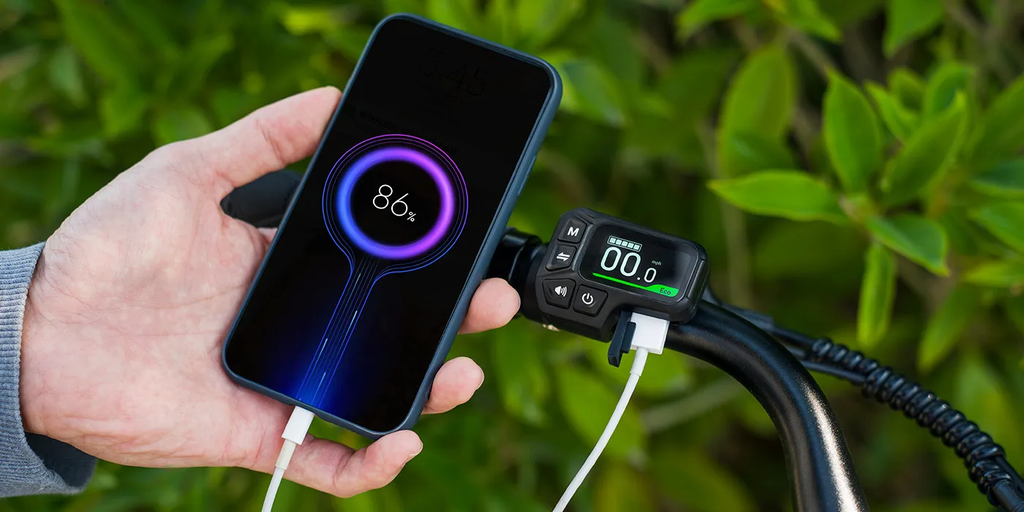 Xe đạp trợ lực điện fiido c11