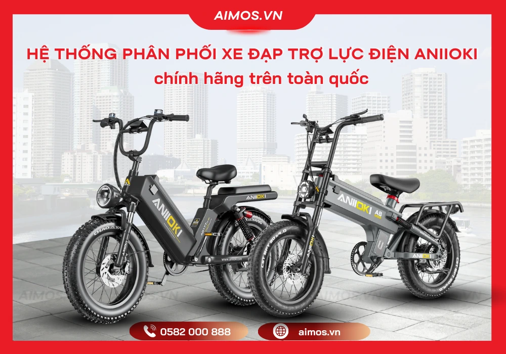 Hệ thống phân phối xe đạp trợ lực điện ANIIOKI