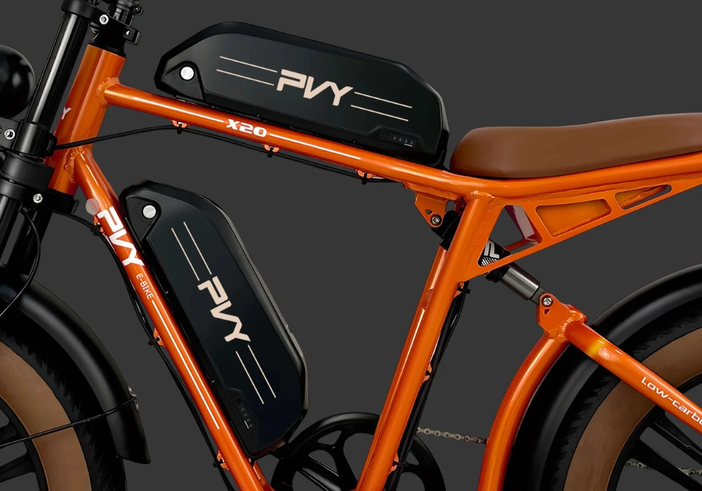 Hệ Thống Pin Kép 48V30Ah