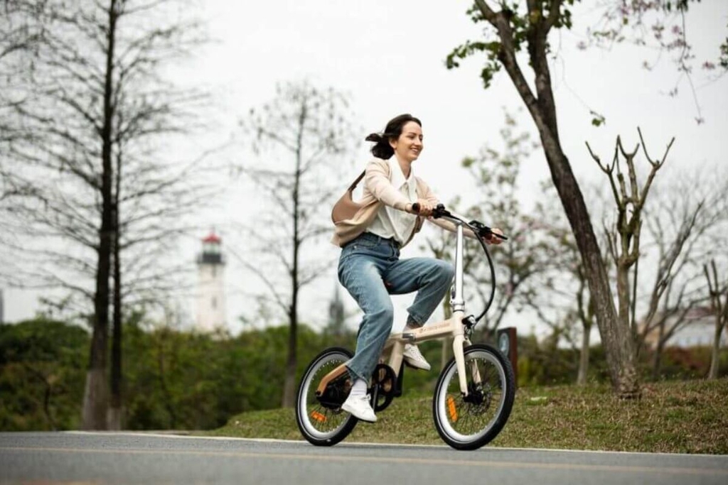 Duy trì tốc độ ổn định vừa tiết kiệm pin vừa bảo vệ hệ thống xe đạp trợ lực điện