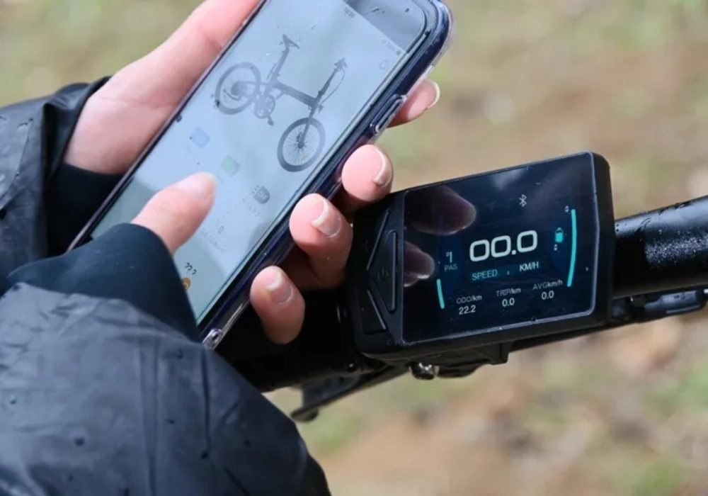 Một số loại màn hình LCD phổ biến