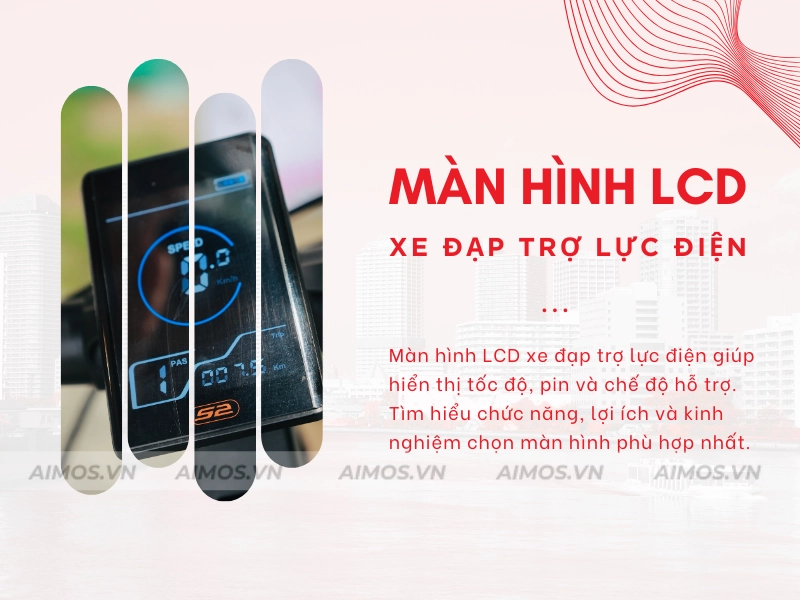 Màn hình LCD xe đạp trợ lực điện