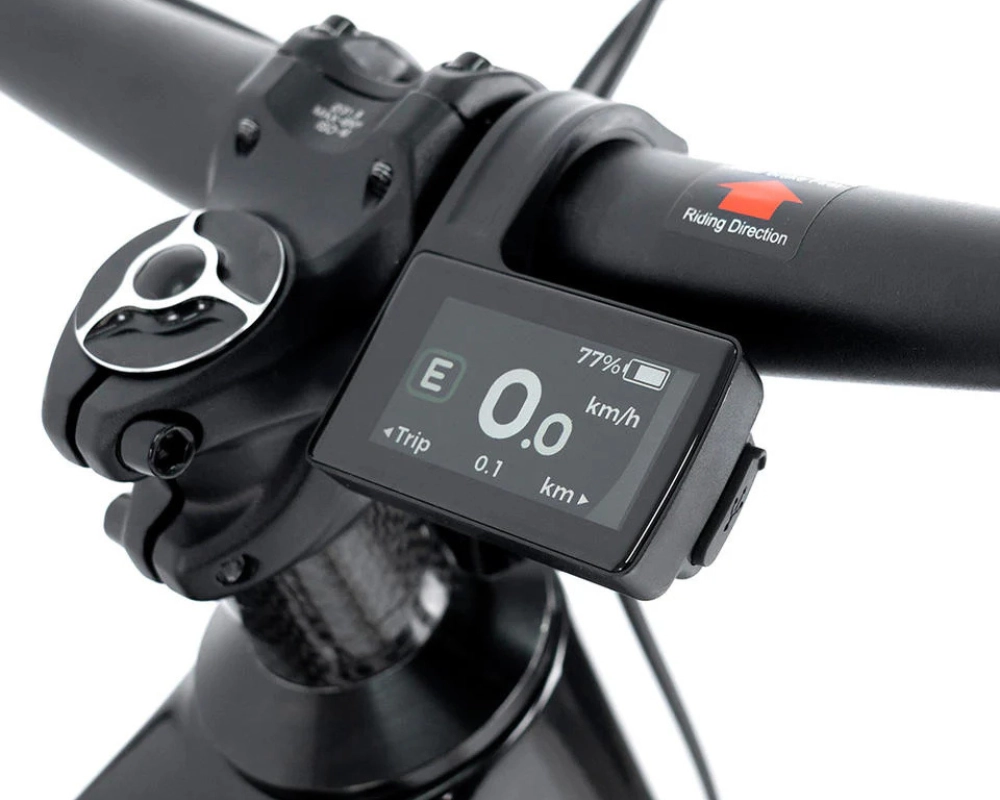 Màn hình thể thao MTB