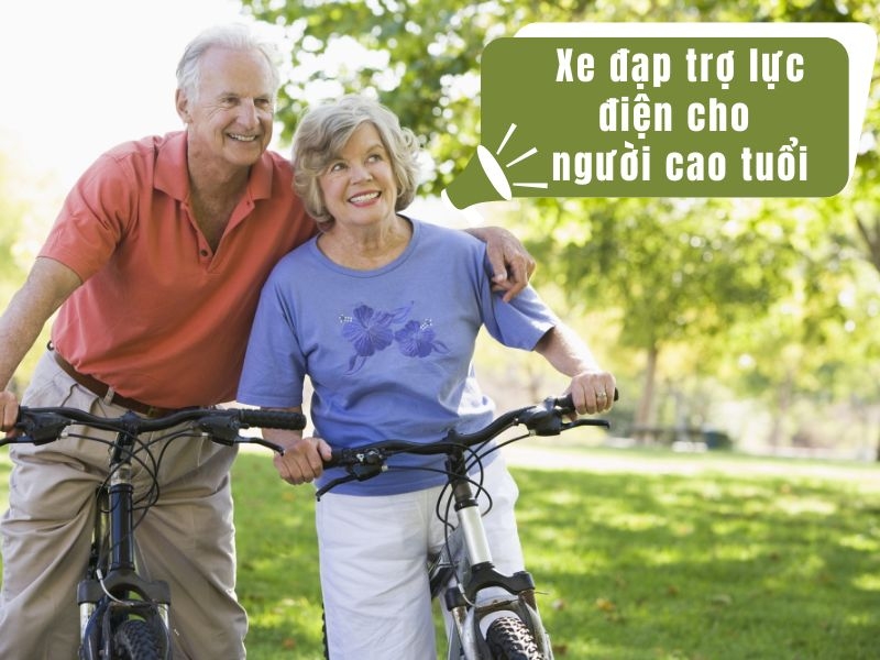 TOP 5 mẫu xe đạp trợ lực điện phù hợp cho người cao tuổi