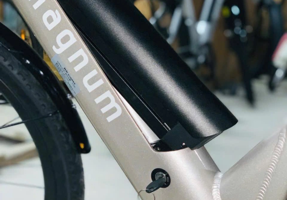 Pin có thể tháo rời