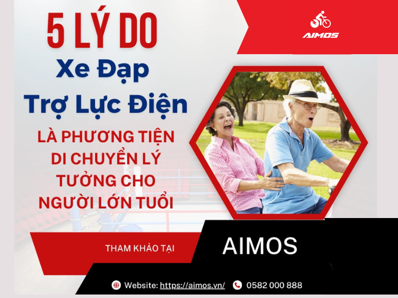 Người lớn tuổi sử dụng xe đạp trợ lực điện