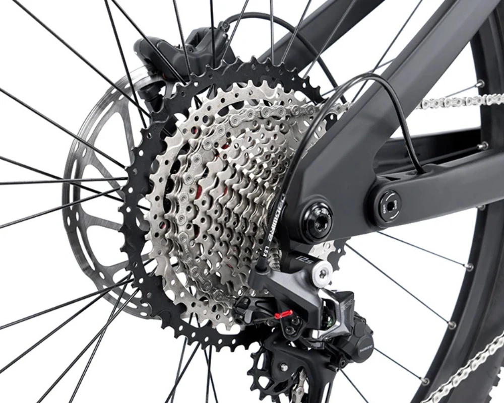 Shimano 12 cấp địa hình