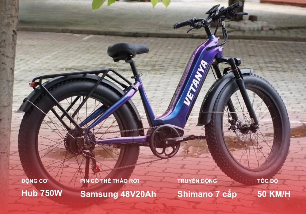 Xe đạp trợ lực điện Vetanya