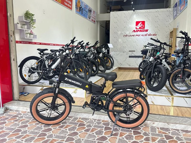 những ưu điểm mà xe đạp trợ lực điện