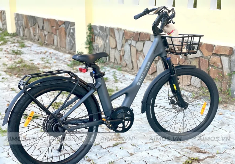 Xe đạp trợ lực điện có rất nhiều mẫu mã phù hợp với từng nhu cầu di chuyển