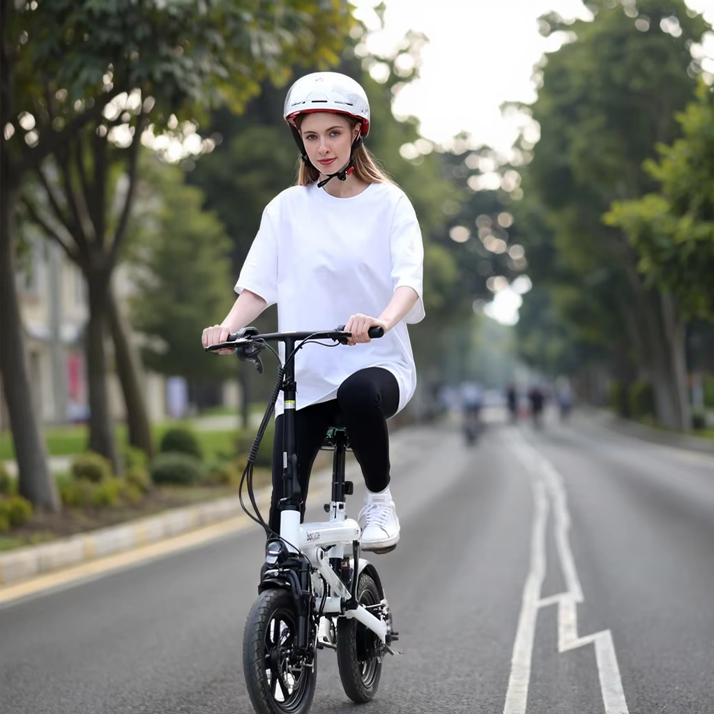 Xiaomi Baicycle S1