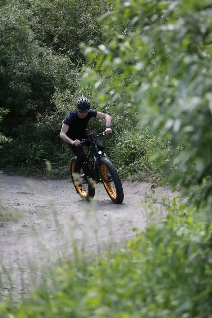 Xe Đạp Trợ Lực Điện Big Shark Châu Âu 2024