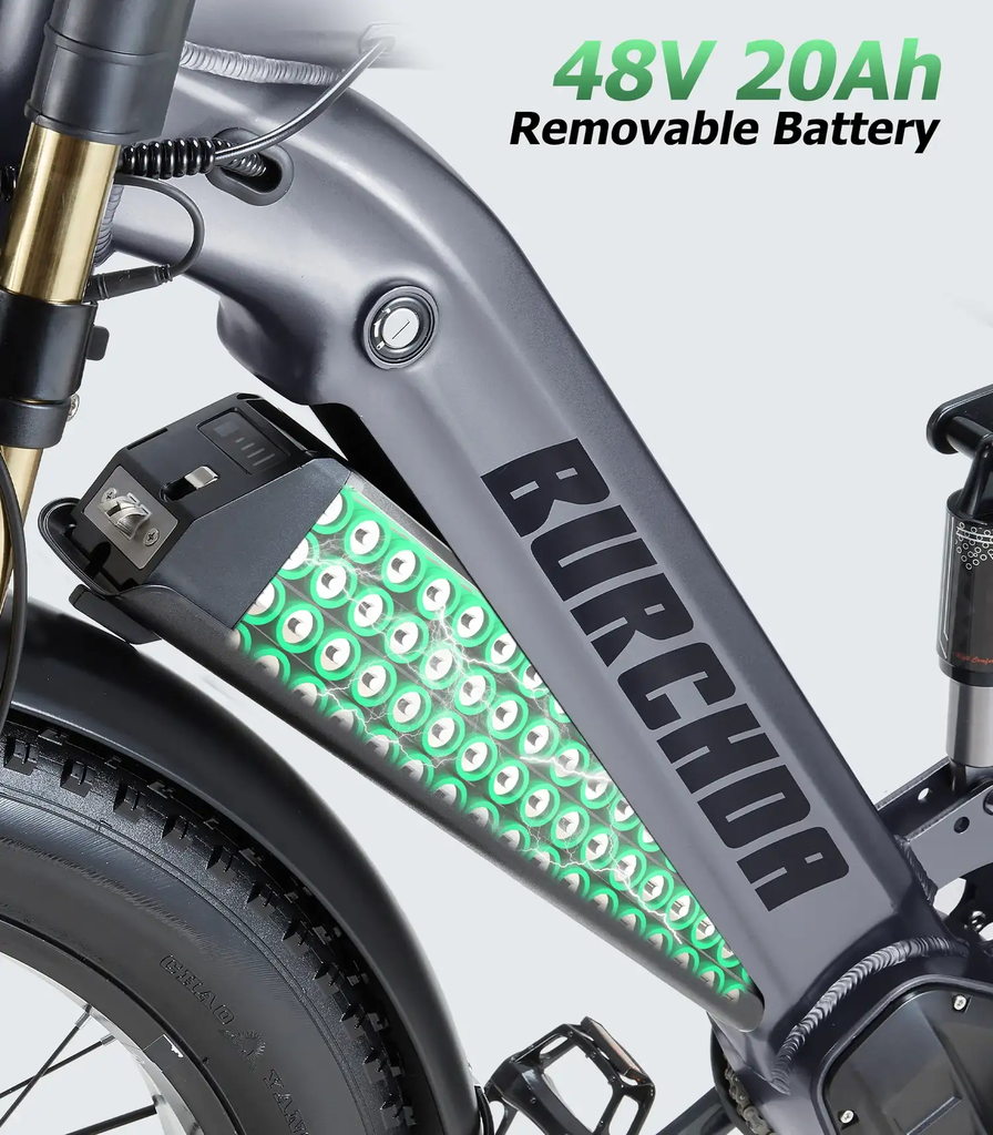 Pin 48V – 20Ah (960Wh) có thể tháo rời