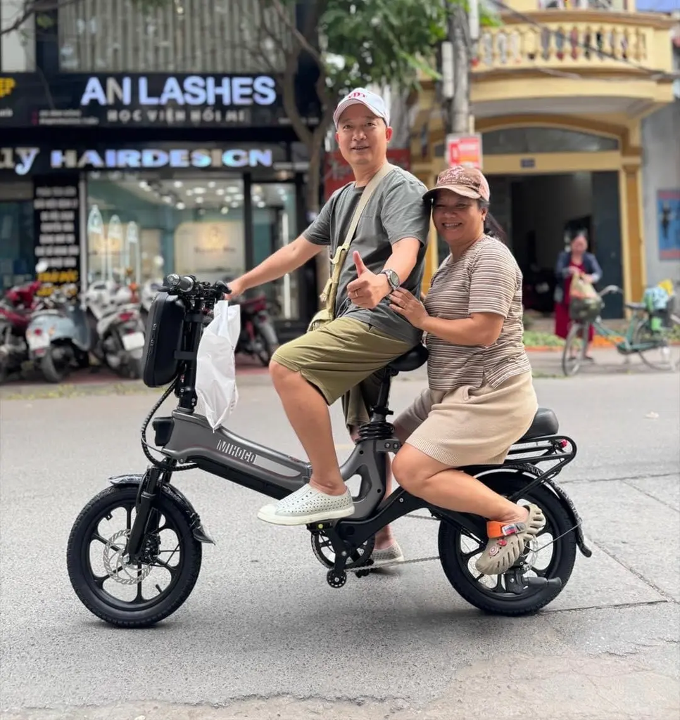 xe trợ lực điện Phoenix