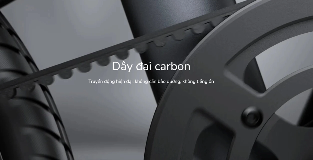 Dây đai carbon