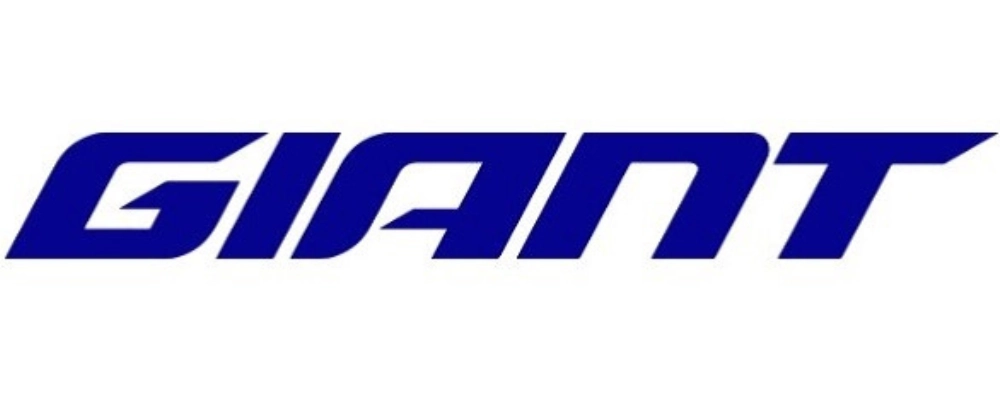 Xe đạp trợ lực điện Giant (Giant E-Bike)