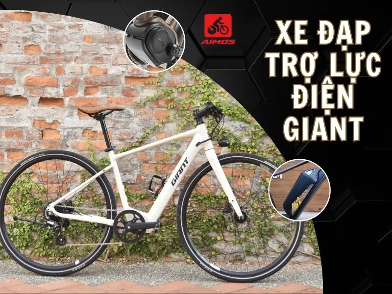 Xe đạp trợ lực điện Giant cho người mê thể thao