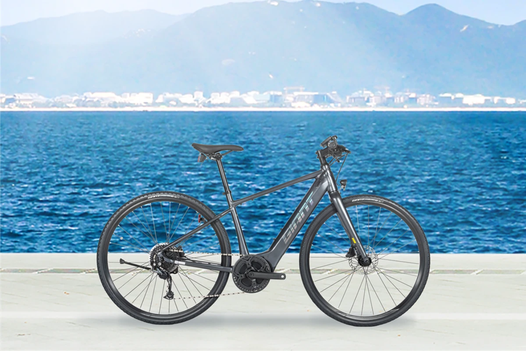 Xe đạp trợ lực điện Giant Fast E+ 1