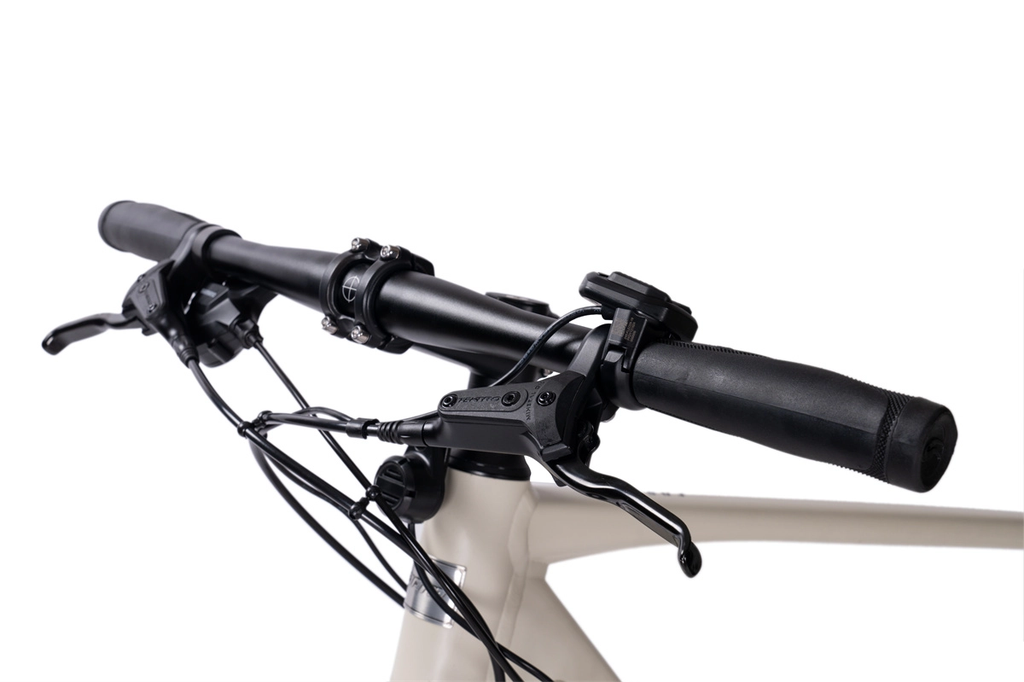 Xe Đạp Trợ Lực Điện GIANT FASTER E+