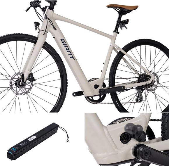 Xe Đạp Trợ Lực Điện GIANT FASTER E+