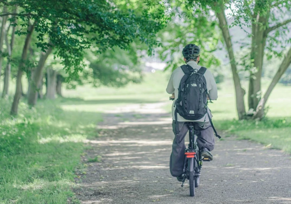 Xe đạp trợ lực điện giúp tăng sức bền tổng thể