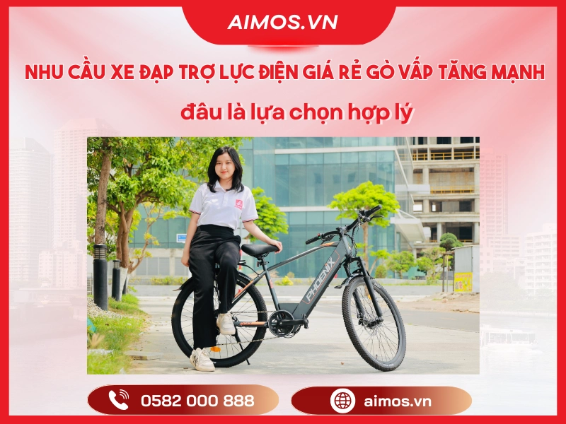 Xe đạp trợ lực điện giá rẻ Gò Vấp