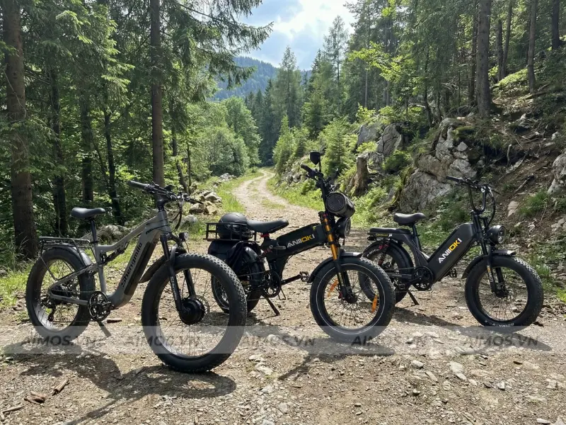 Xe đạp trợ lực điện hai động cơ