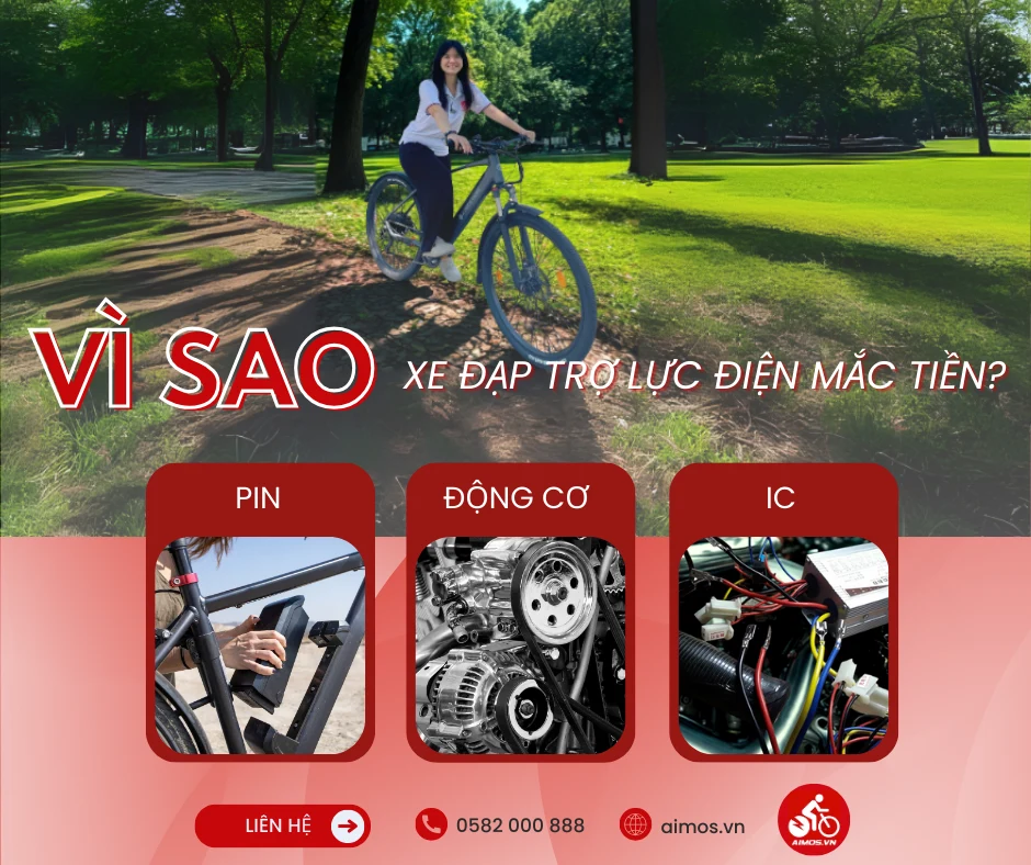 Vì sao xe đạp trợ lực điện lại mắc tiền