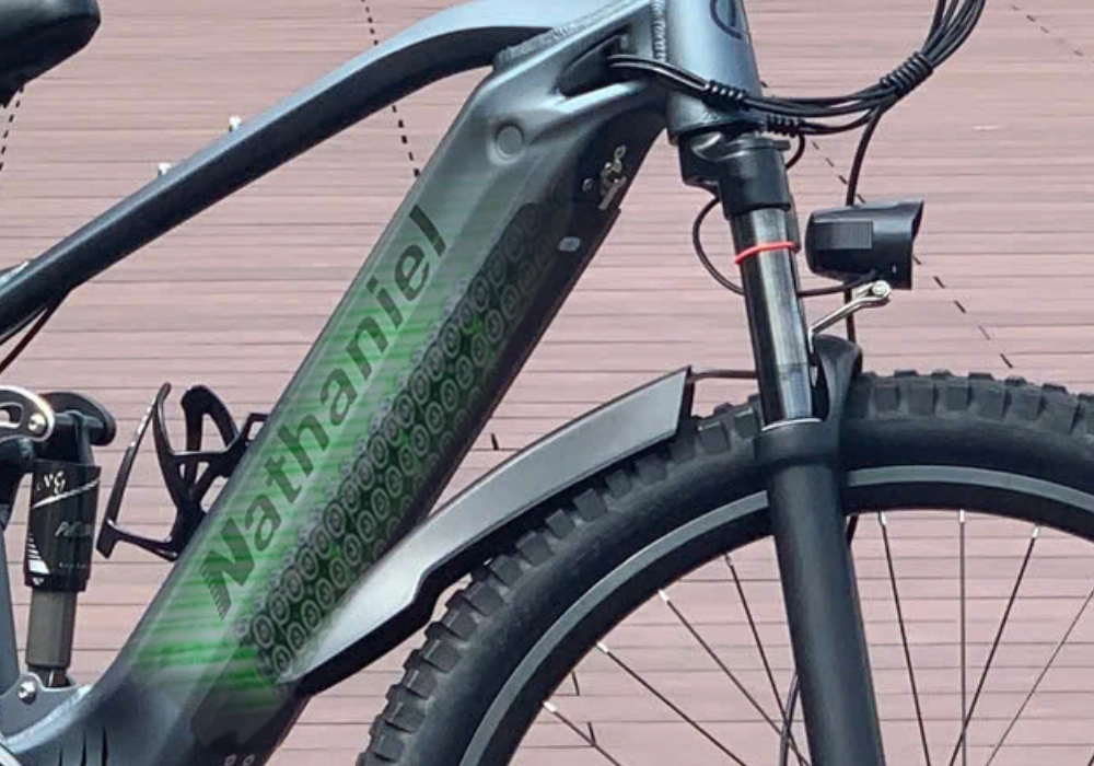 Pin 48V – 20Ah tháo rời