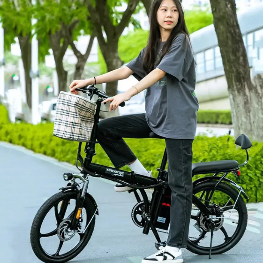 Xe Đạp Trợ Lực Điện Phoenix
