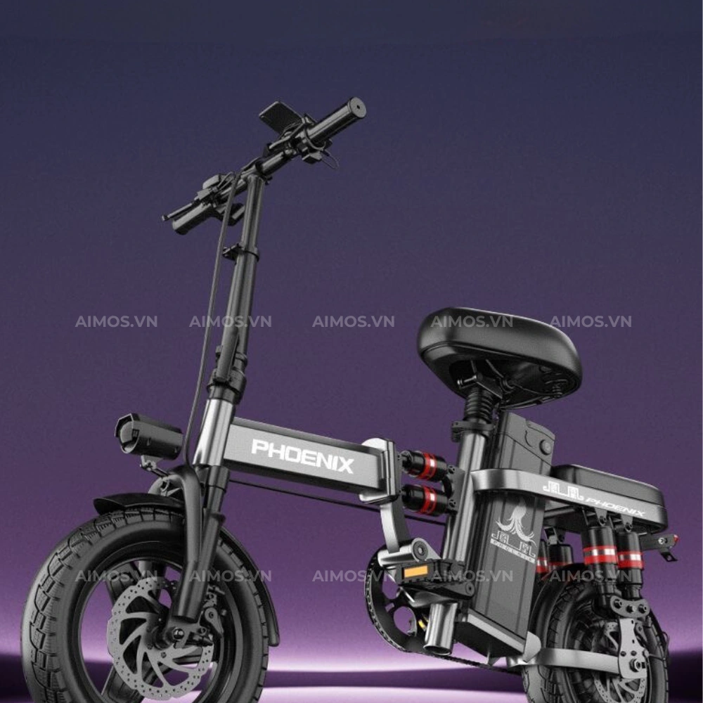Xe Đạp Trợ Lực Điện Phoenix C14