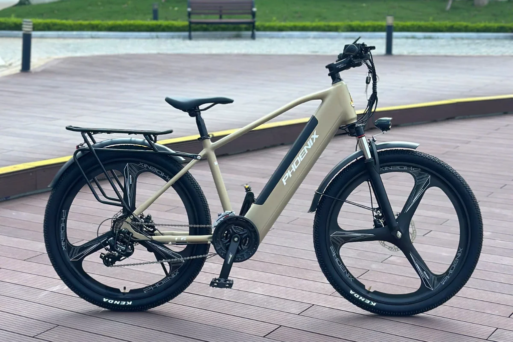 xe đạp trợ lực điện Phoenix LG