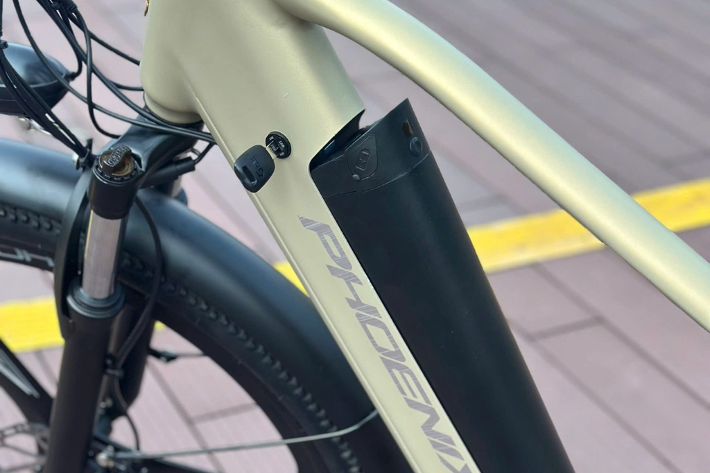 Xe đạp trợ lực điện Phoenix LG pin có thể tháo rời