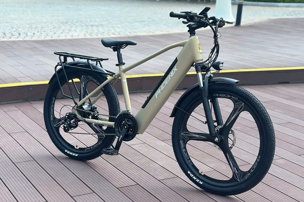 Xe đạp trợ lực điện Phoenix LG chính là lựa chọn đáng cân nhắc