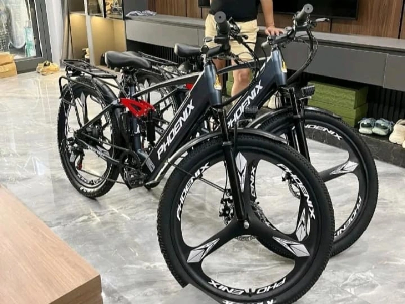 Xe đạp trợ lực điện Phoenix Q1