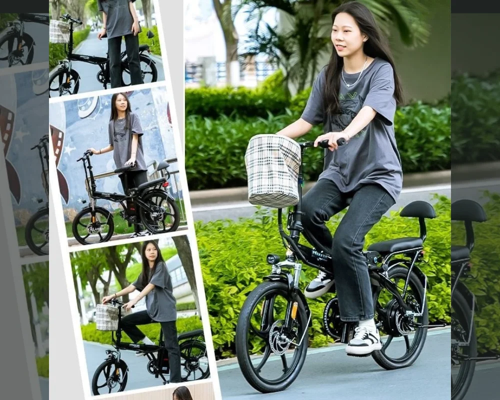Xe đạp trợ lực điện Phoenix R20 chính hãng